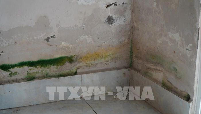Vách tường bên trong căn hộ của Chung cư Victoria Premium bị thấm nước trong thời gian dài. Ảnh: Nhựt An - TTXVN