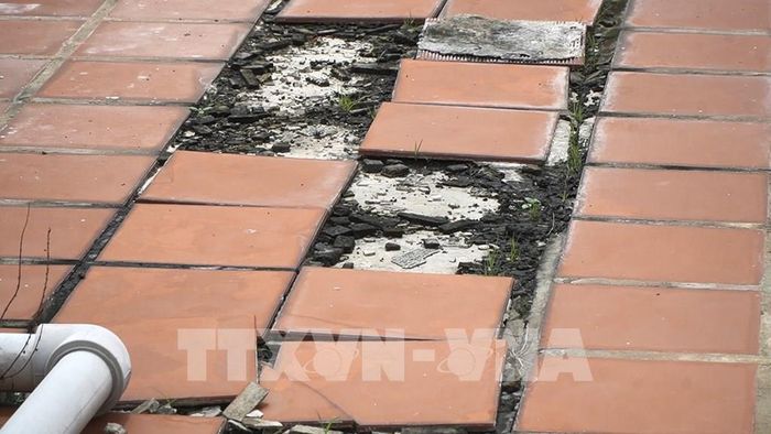 Gạch lót sàn sân thượng chung cư Victoria Premium bị bong tróc tại một số vị trí. Ảnh: Nhựt An - TTXVN