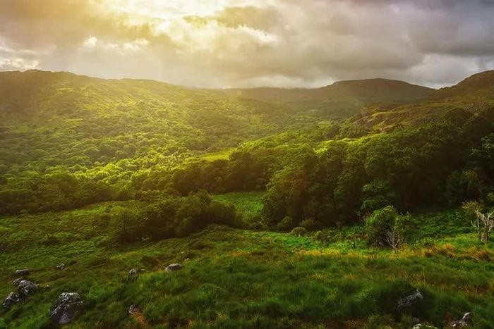Ảnh: mammuth / Getty Images