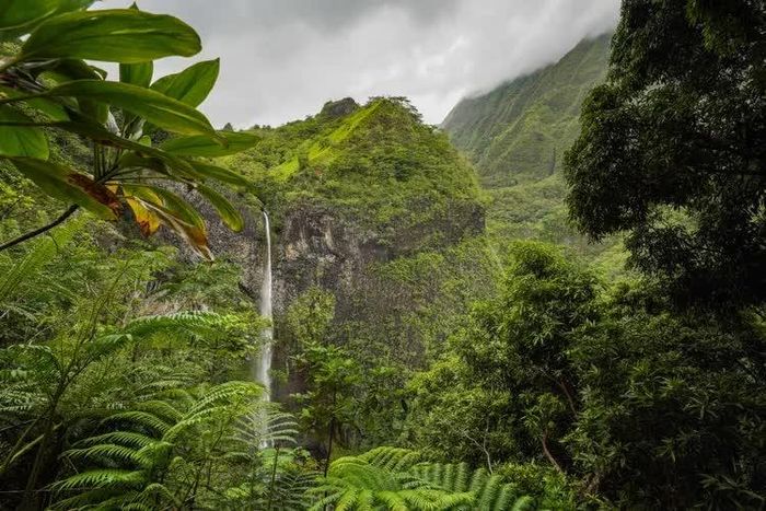 Ảnh: Lauren Breedlove/Travel + Leisure