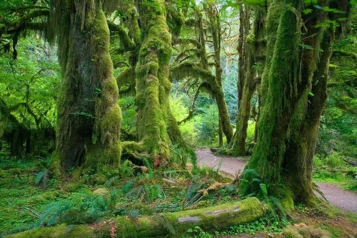 Ảnh: James Randklev / Getty Images