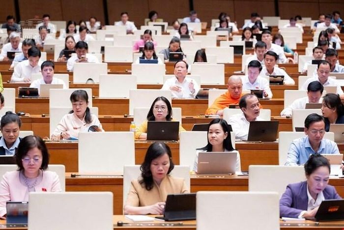 Các đại biểu Quốc hội dự phiên họp.