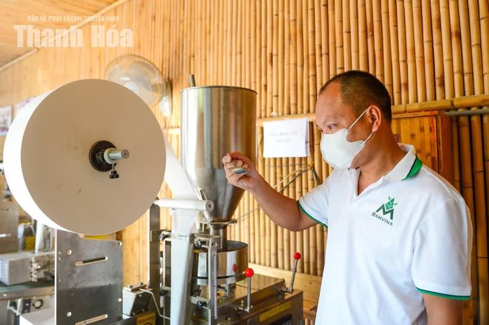 Anh Nguyễn Mạnh Cường, Giám đốc Công ty TNHH Bamboo & Wood Creation Việt Nam cho biết: “Nguyên liệu làm trà của công ty được trồng không sử dụng hóa chất, đồng thời được sơ chế và kiểm soát nhằm bảo đảm vệ sinh an toàn thực phẩm. Với đặc thù là sản phẩm đồ uống, việc kiểm soát nguyên liệu đóng vai trò quan trọng trong quá trình chúng tôi xây dựng chất lượng và niềm tin của người tiêu dùng”.