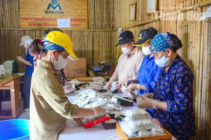 Dù sản phẩm trà của anh Cường mới ra mắt thị trường được 4 tháng nhưng tỷ lệ khách hàng quay lại mua sản phẩm được doanh nghiệp ghi nhận ở mức 70-80%. Nhu cầu từ kênh bán lẻ cũng tăng, có thời điểm sản lượng làm ra chưa đáp ứng kịp nhu cầu tiêu thụ.