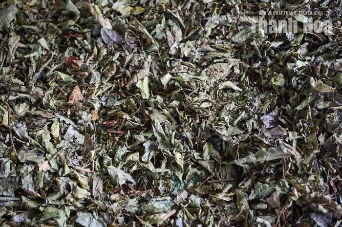 Các nguyên liệu để sản xuất trà như cà gai leo, xạ đen, mâm xôi,... chủ yếu lấy từ nguồn nguyên liệu bản địa, được thu mua từ người dân tại các xã miền núi của tỉnh Thanh Hóa, nơi có nguồn cây dược liệu phong phú dưới tán rừng.