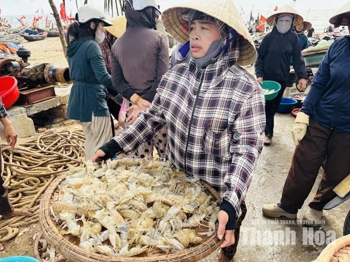 Hải sản tươi rói mà ngư dân Sầm Sơn đánh bắt được sau chuyến vươn khơi.