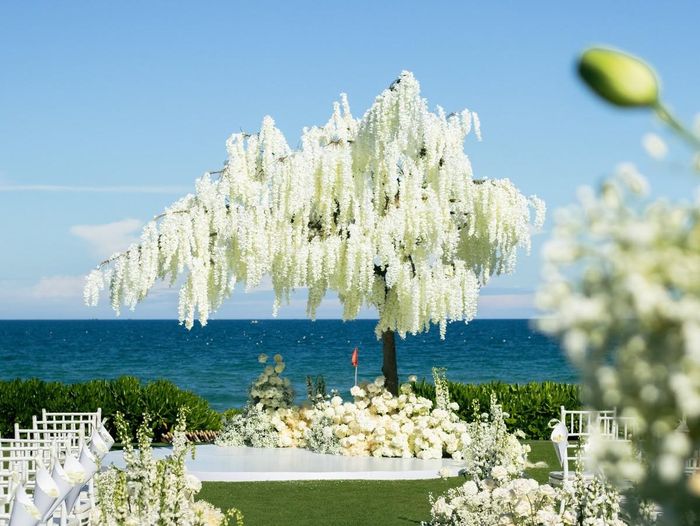 Ảnh: The Anam Cam Ranh