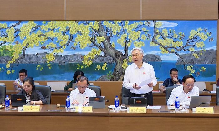  Đại biểu Trần Văn Lâm nêu ý kiến. 