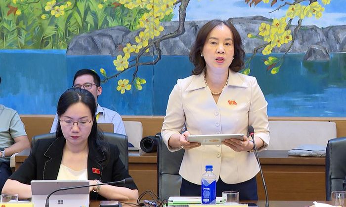  Đại biểu Nguyễn Thị Kim Anh nêu ý kiến. 