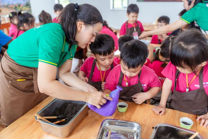 Trẻ mầm non được theo dõi quá trình sinh trưởng của cây xanh thông qua trải nghiệm tại các giờ học ngoại khóa. Ảnh: TRÂM ANH