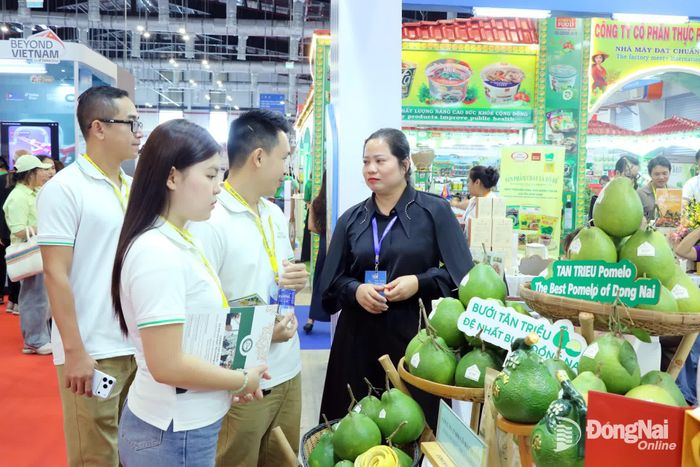 Đồng Nai có nhiều mặt hàng nông sản và chế biến tiềm năng xuất khẩu. Trong ảnh: Bưởi Tân Triều được giới thiệu tại Hội chợ hàng Việt Nam tiêu biểu xuất khẩu năm 2026.