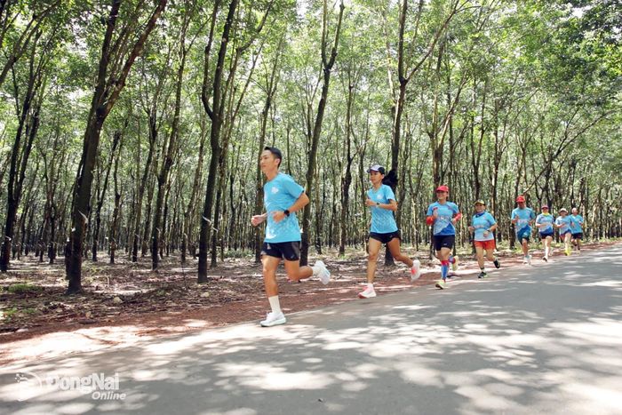 Giữa sắc xanh của rừng, mỗi bước chạy là hành trình rèn luyện ý chí và chinh phục giới hạn của bản thân. Ảnh Trương Hiện
