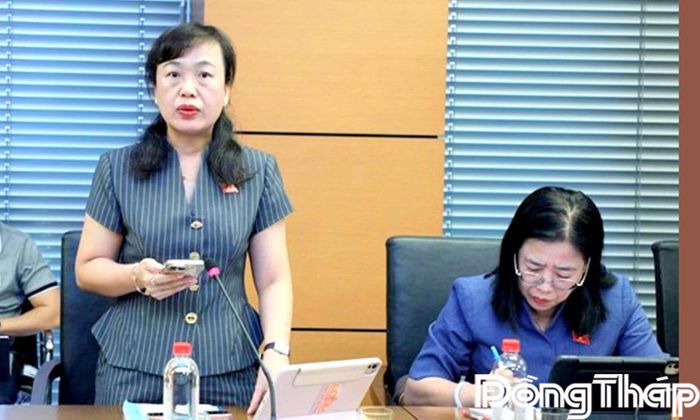 Đại biểu Võ Thị Hoài Ngọc phát biểu thảo luận tại tổ.