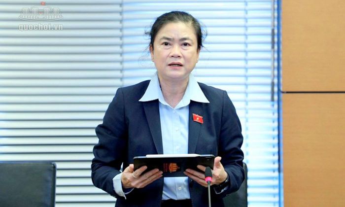 Đại biểu Đỗ Thị Thu Thảo phát biểu thảo luận.