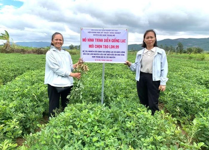 Thạc sĩ Trương Thị Thuận (bên trái) tham gia nghiên cứu, chọn tạo giống cây trồng. Ảnh: NVCC
