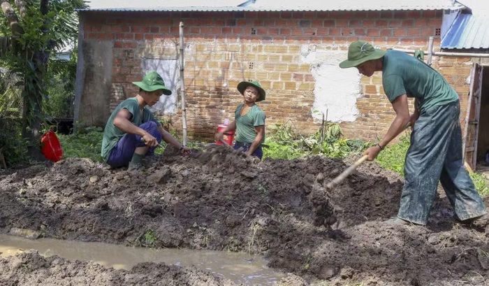 Cán bộ, chiến sĩ Đội K52 tỉ mỉ rà soát từng lớp đất, tìm kiếm hài cốt liệt sĩ tại tổ dân phố Lộc Thuận, phường An Nhơn Bắc. Ảnh: H.P