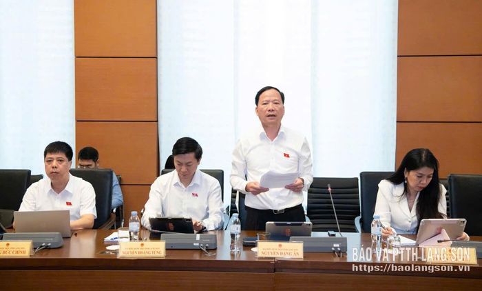 Đại biểu Nguyễn Đặng Ân, Phó Trưởng Đoàn đại biểu Quốc hội tỉnh phát biểu thảo luận tại tổ