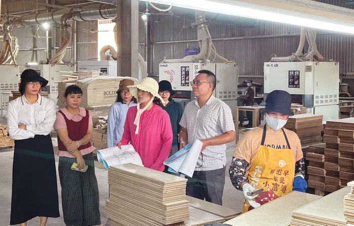 Thanh tra tỉnh đã tháo gỡ điểm nghẽn dự án, hoàn thiện các thủ tục pháp lý, sớm đưa dự án vào hoạt động.