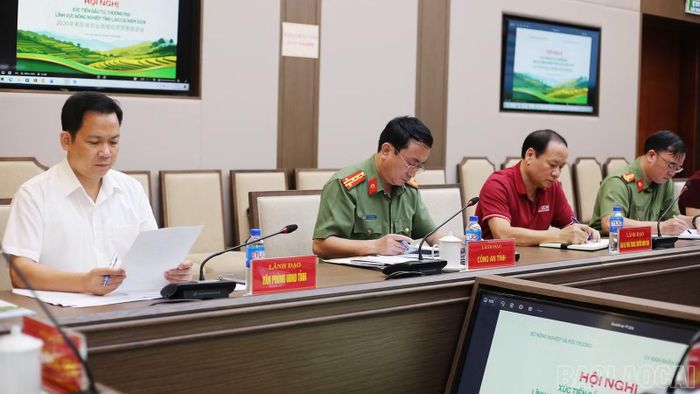 Các đại biểu tham dự cuộc họp.
