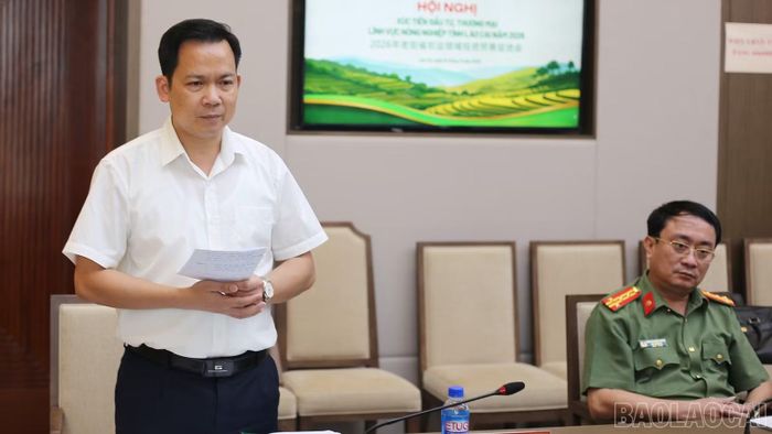 Các đại biểu phát biểu tại cuộc họp.