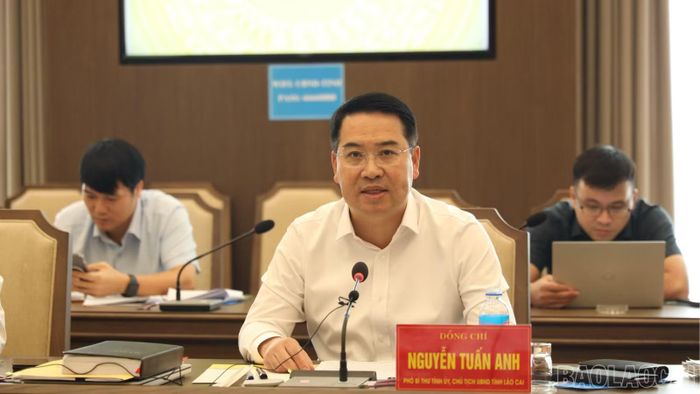 Đồng chí Nguyễn Tuấn Anh - Chủ tịch UBND tỉnh phát biểu kết luận cuộc họp.