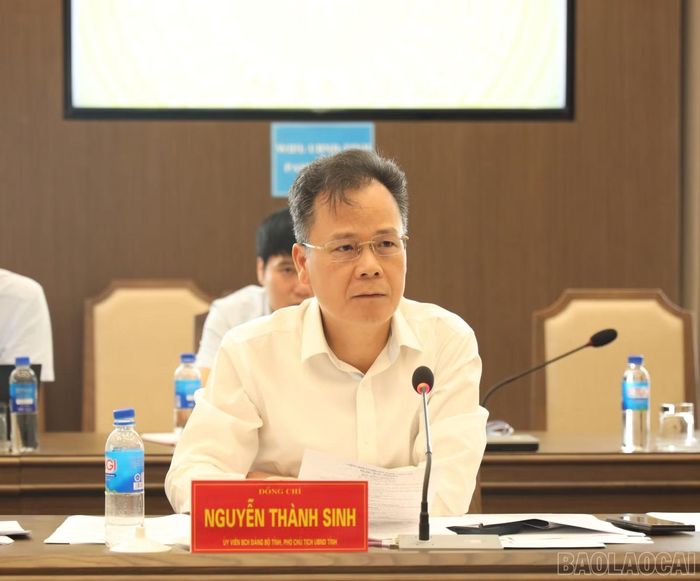 Đồng chí Nguyễn Thành Sinh - Phó Chủ tịch UBND tỉnh phát biểu tại cuộc họp.