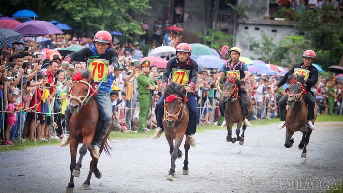 Giải đua ngựa truyền thống là một trong những điểm nhấn thu hút du khách tại các kỳ Festival mùa đông Bắc Hà.