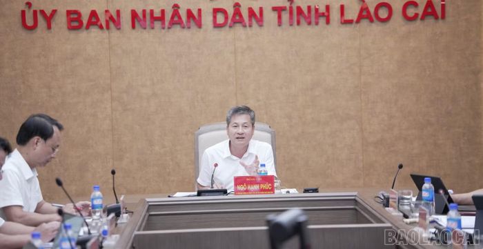 Đồng chí Ngô Hạnh Phúc - Ủy viên Ban Thường vụ Tỉnh ủy, Phó Chủ tịch Thường trực UBND tỉnh phát biểu kết luận cuộc họp.