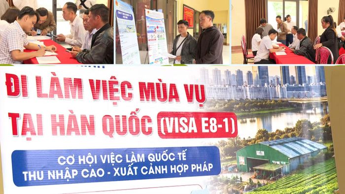 Chương trình Visa E8 đang ngày càng thu hút người dân tham gia.