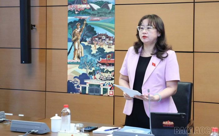 Đồng chí Giàng Thị Dung - Phó Bí thư Tỉnh ủy, Trưởng Đoàn đại biểu Quốc hội tỉnh Lào Cai phát biểu kết luận phiên thảo luận tổ chiều 26/10.