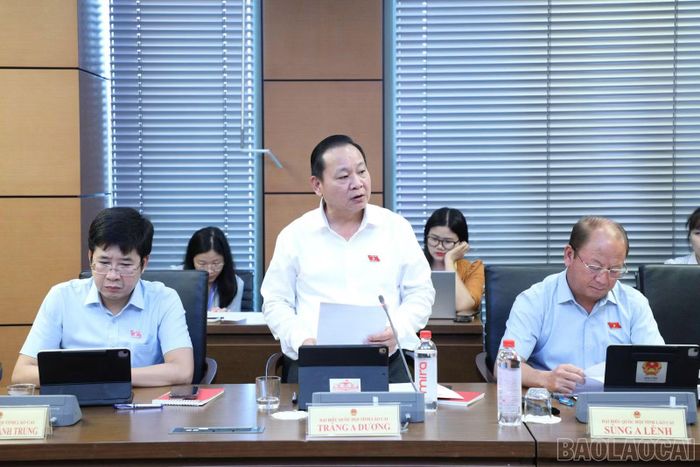 Đại biểu Tráng A Dương tham gia góp ý vào dự án Luật Định danh và xác thực điện tử.