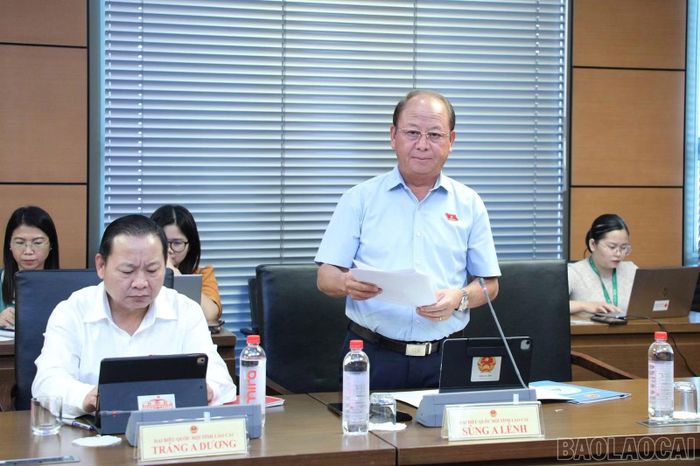Đại biểu Sùng A Lềnh tham gia góp ý vào dự án Luật An ninh dữ liệu.