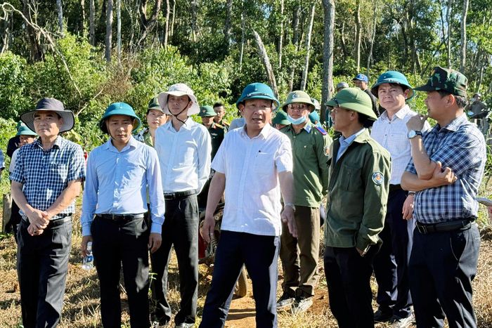 Đồng chí Bùi Thắng, Phó Bí thư Tỉnh ủy đã cùng đoàn công tác kiểm tra thực tế một số khu vực xảy ra lấn chiếm đất rừng