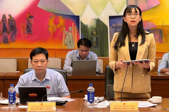 Đại biểu Trịnh Thị Tú Anh, Đoàn ĐBQH tỉnh Lâm Đồng tham gia phát biểu ý kiến