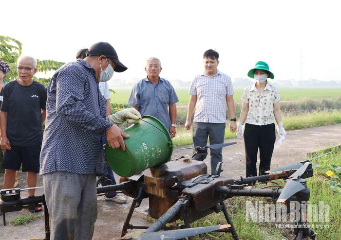 Phòng Kinh tế, Trung tâm Dịch vụ sự nghiệp công xã Hải An phối hợp tổ chức triển khai mô hình trình diễn phun thuốc bảo vệ thực vật bằng máy bay không người lái.