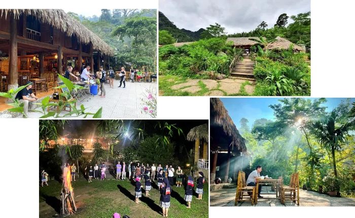 Homestay Quỳnh Nga nằm trong vùng lõi của Vườn Quốc gia Xuân Sơn thu hút đông đảo du khách trong và ngoài nước đến tham quan, trải nghiệm và lưu trú, góp phần phát huy bản sắc văn hóa của đồng bào các dân tộc Mường, Dao nơi đây.