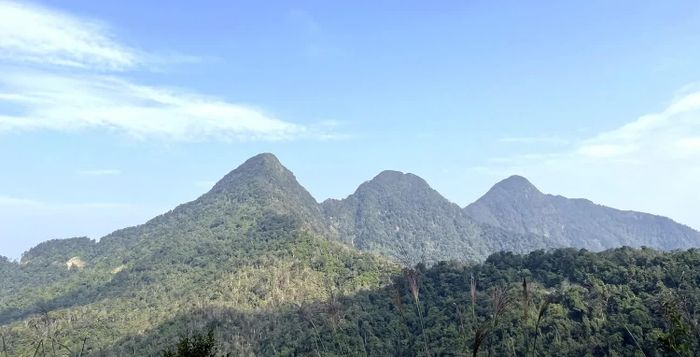Vườn Quốc gia Tam Đảo.