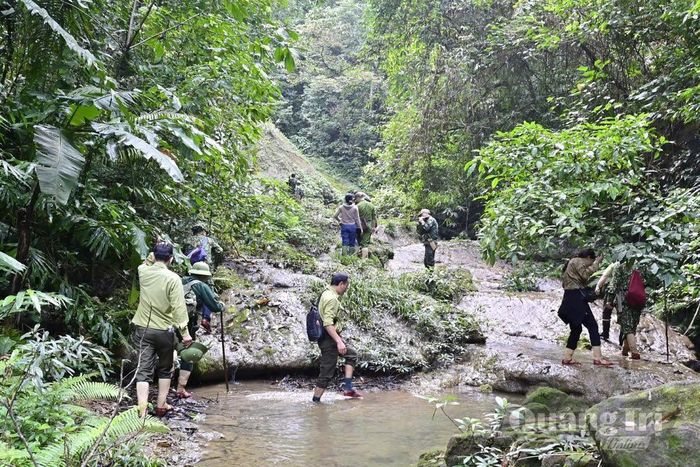 Lực lượng Kiểm lâm phối hợp với các cơ quan chức năng băng rừng, vượt suối thực hiện tuần tra, quản lý, bảo vệ rừng - Ảnh: T.L