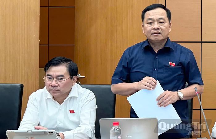 Đồng chí Nguyễn Ngọc Hà, Phó Chủ nhiệm Ủy ban Quốc phòng, an ninh và Đối ngoại thảo luận về dự án Luật Bảo vệ công trình quan trọng liên quan đến an ninh quốc gia - Ảnh: C.T.V