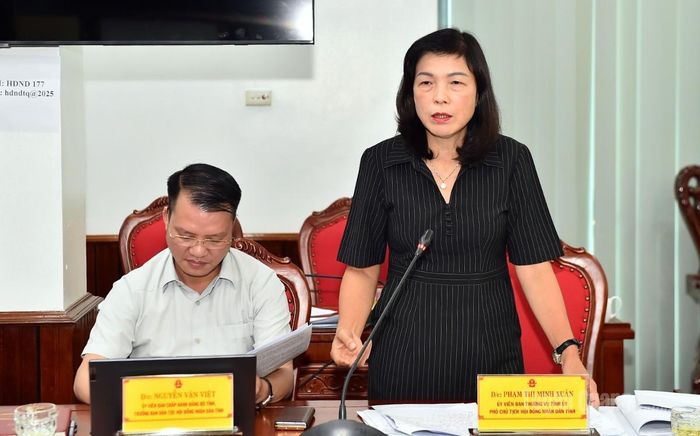 Đồng chí Phạm Thị Minh Xuân, Phó Chủ tịch HĐND tỉnh cho ý kiến vào các dự thảo nghị quyết.