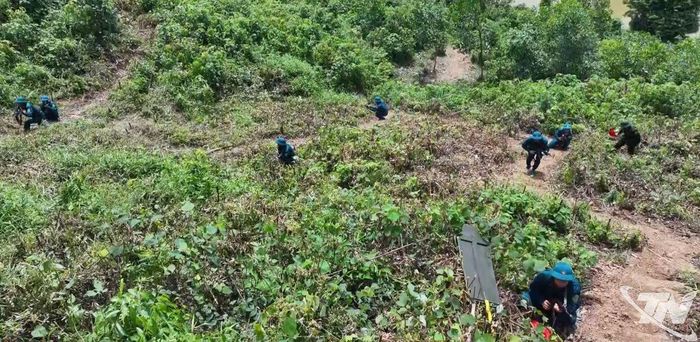 Diễn tập thực binh tại xã Đồng Hỷ.