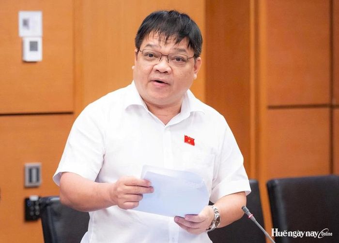 Đại biểu Võ Thanh Tùng, Hiệu trưởng Trường Đại học Khoa học, Đại học Huế tham gia góp ý dự án Luật An ninh dữ liệu. Ảnh: Đoàn ĐBQH thành phố cung cấp