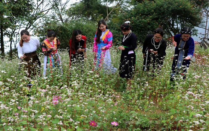 Cánh đồng hoa và nét văn hoá người dân Tuyên Quang.