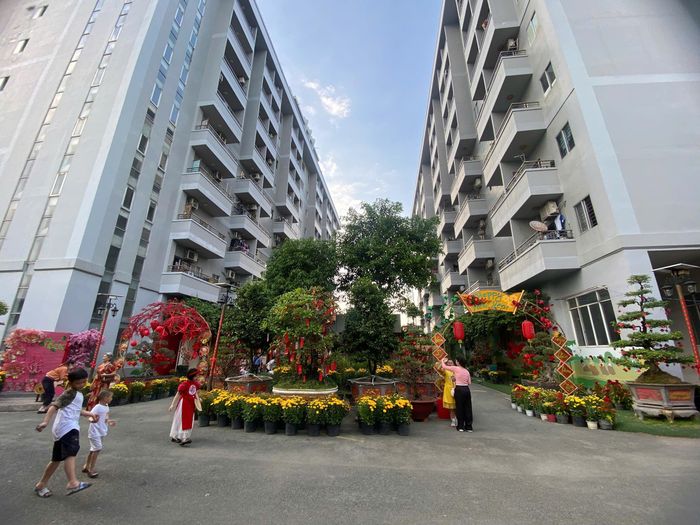 TP.HCM đang đẩy mạnh phát triển 50.000 căn nhà ở xã hội cho thuê từ nay đến năm 2030.
