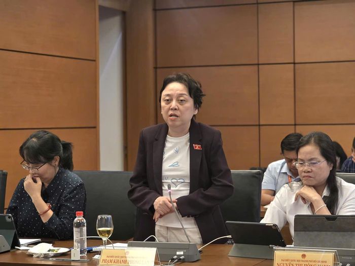 Đại biểu Phạm Khánh Phong Lan.