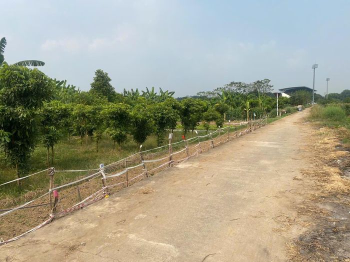 Chính quyền địa phương phối hợp với các cơ quan liên quan đẩy nhanh công tác bồi thường, hỗ trợ, phấn đấu bàn giao mặt bằng đúng kế hoạch.