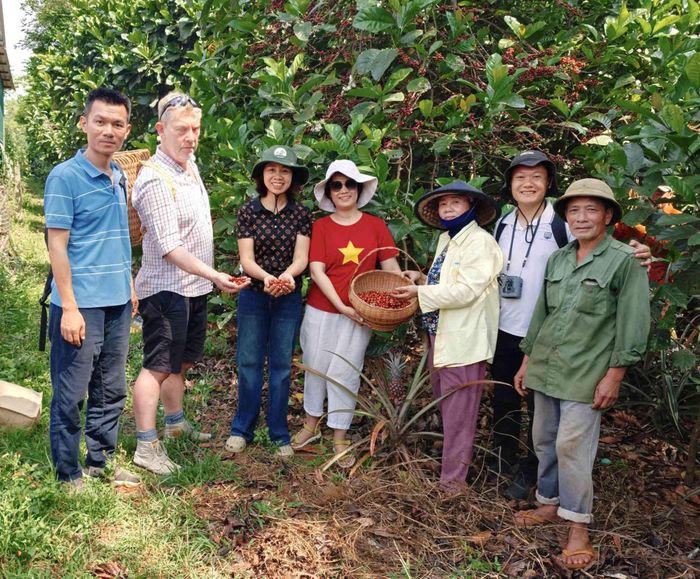  Ông Harron (thứ 2, từ trái sang) - Chuyên gia về Du Lịch nông nghiệp từ tổ chức PUM Hà Lan trải nghiệm sản phẩm du lịch để nghiên cứu và nâng cấp tour cà phê Khe Sanh. 