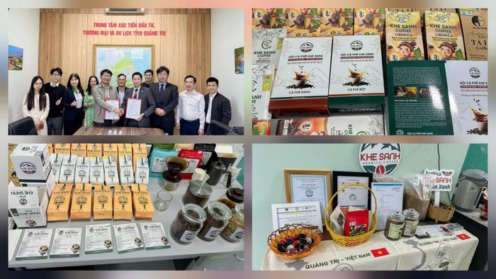  Cà phê Khe Sanh là được Trung tâm Xúc tiên Đầu tư, Thương mại & Du lịch tỉnh Quảng Trị đưa đi trưng bày ở Nhật Bản. 