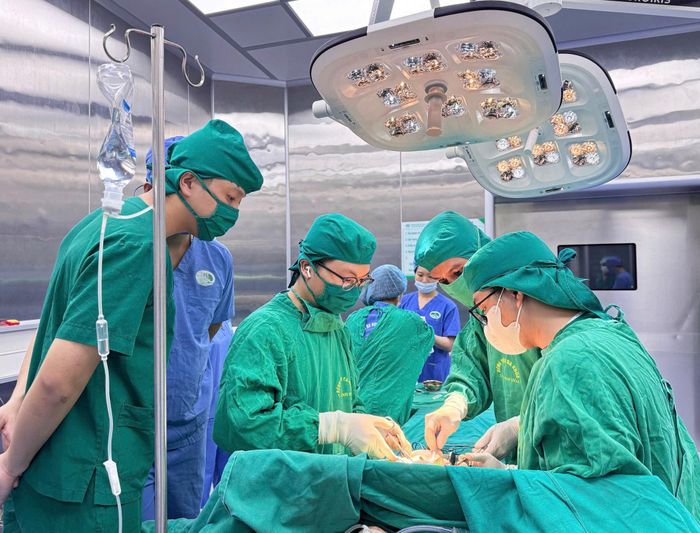 Phó Trưởng khoa Phẫu thuật Gan mật, Bệnh viện HN Việt Đức, BSCKII Mẫn Văn Chung trực tiếp thực hiện phẫu thuật tắc mật do u vater + sỏi mật tại Bệnh viện Đa khoa tỉnh Thanh Hóa. Ảnh: BVHNVĐ