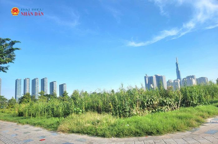 TP. Hồ Chí Minh ban hành quy định mới về các yếu tố ảnh hưởng đến giá đất. Trong ảnh, một khu đất trống tại Khu đô thị mới Thủ Thiêm. Ảnh: Quang Phương